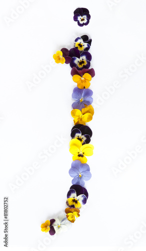 letter J alphabet made from pansy flowers