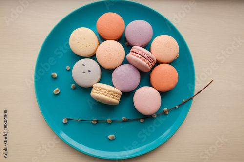 Beautiful Multicolored Macarons