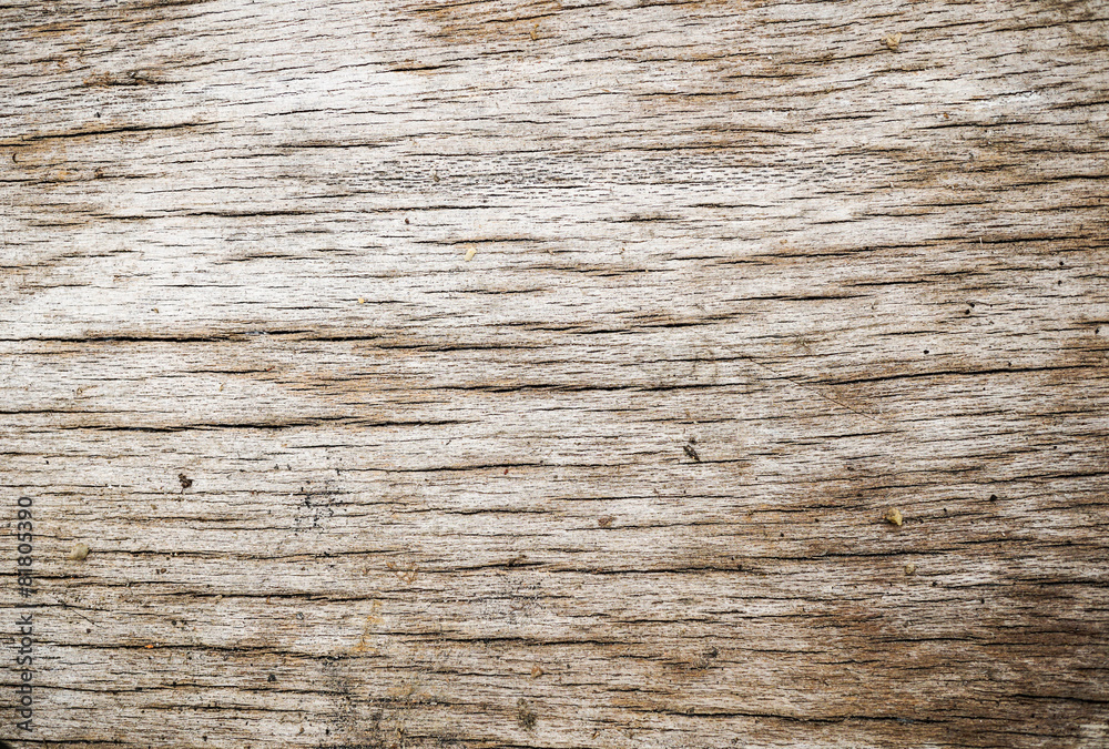 Wood Texture background. Wood Texture background.
