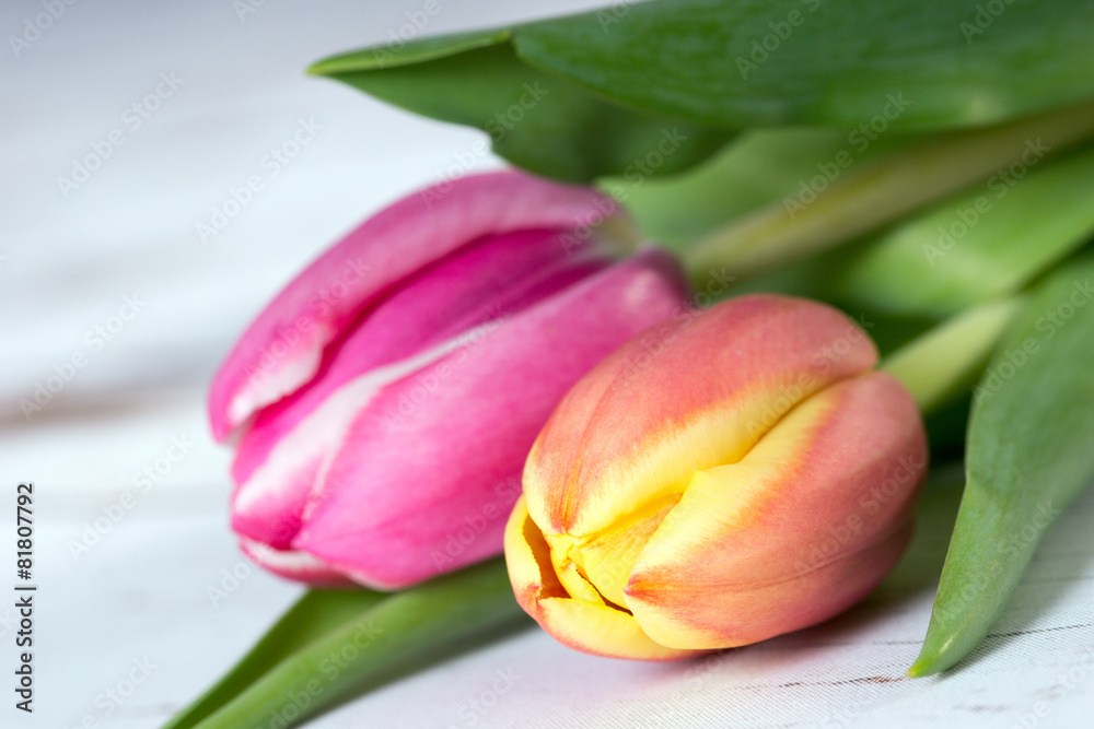 wunderschöne Tulpen auf einem Holzuntergrund wunderschöne Tulpen auf einem Holzuntergrund