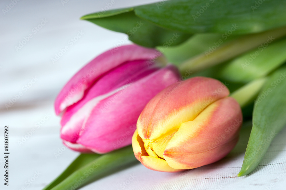 wunderschöne Tulpen auf einem Holzuntergrund