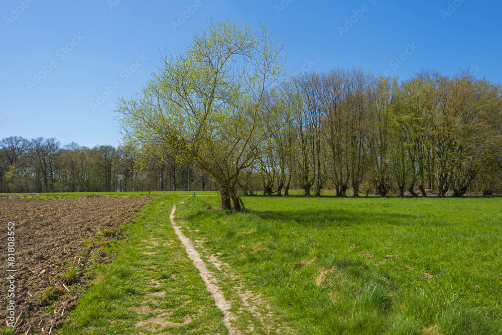 Hiking trail through sunny farmland in spring