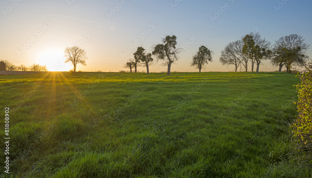 Fototapeta premium Sunset over over a hill under a blue sky