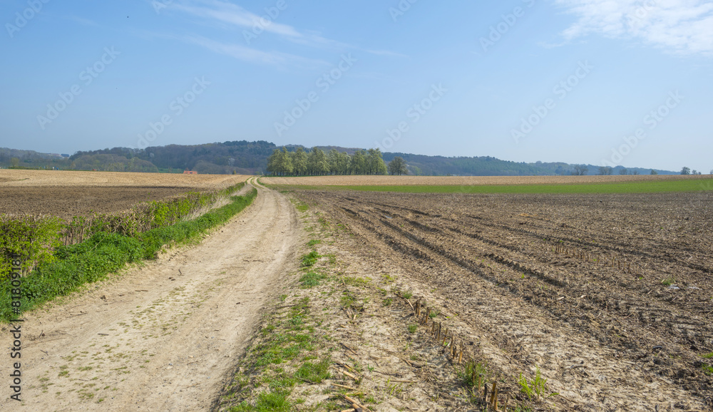 Dirt road through sunny farmland in spring