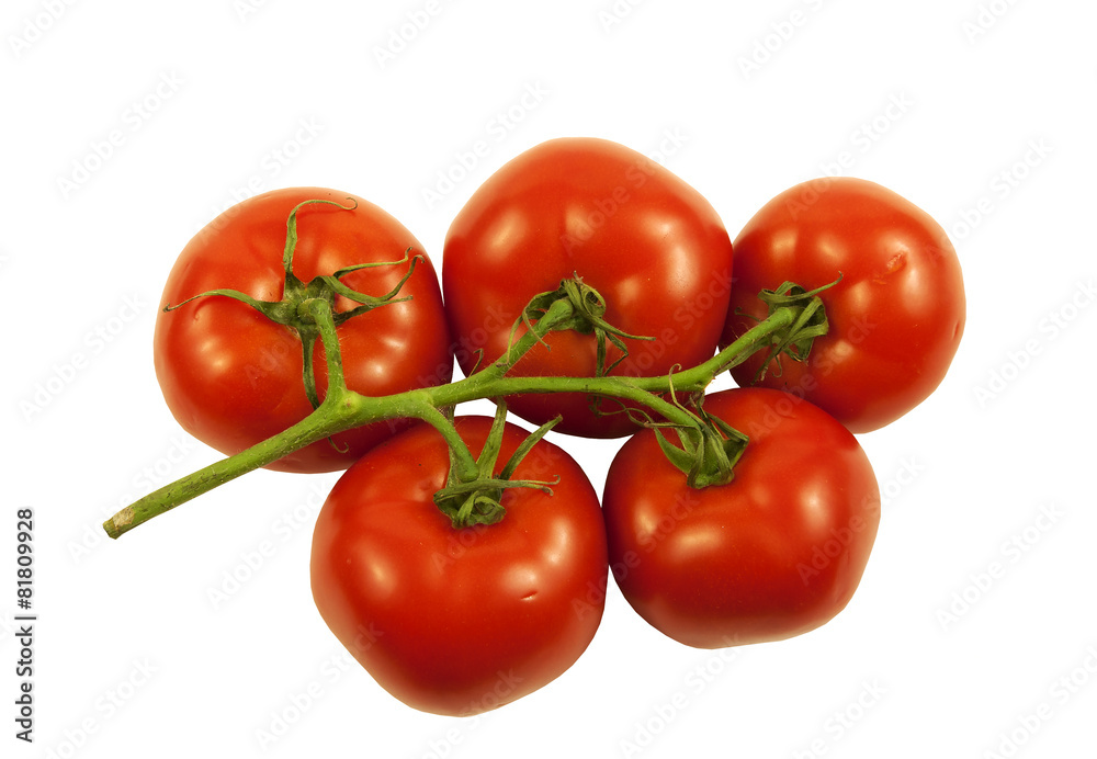Juicy red vine ripe Tomatoes