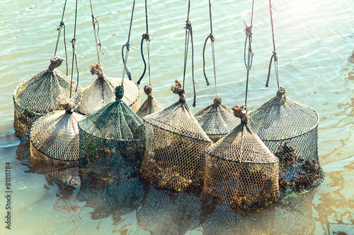 fishing clams in the sea with nets