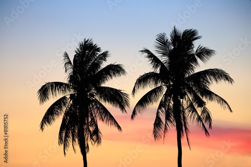 Sunset with coconut tree at twilight time