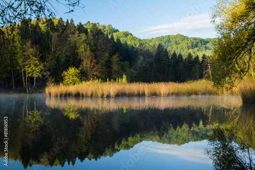 Reflection of trees on Tracoscan lake in Zagorje, Croatiaa photo