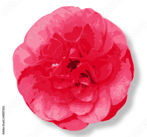 Rote Blume - Vektor