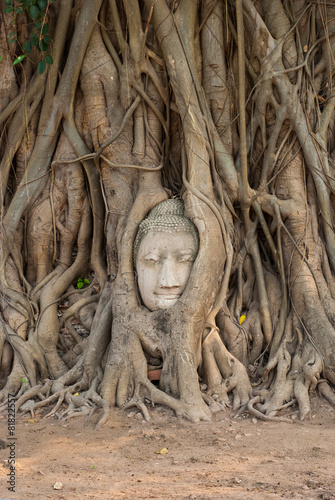 Buddha head in tree roots ,Wat mahathat ,Ayutthaya ,Thailand © Yothin