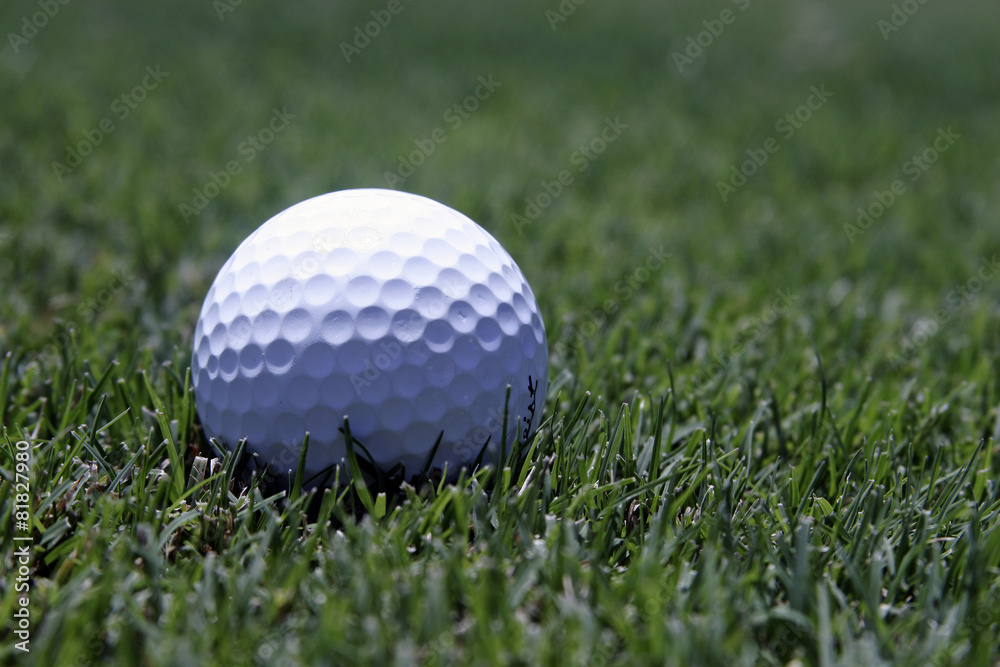 Obraz premium Golf ball on grass