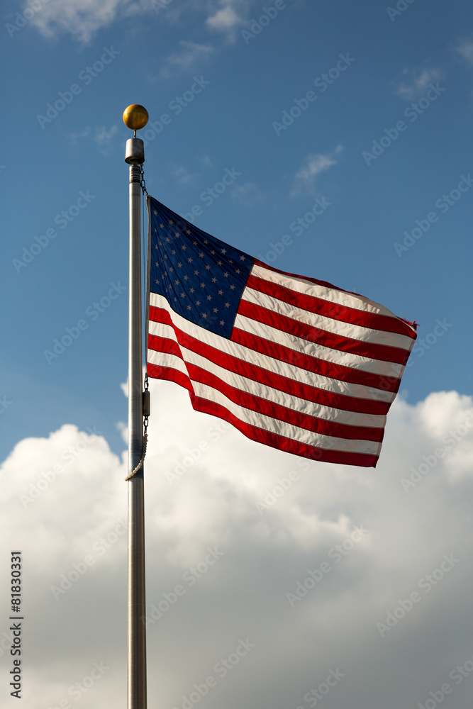 Obraz premium Stars and Stripes Flag