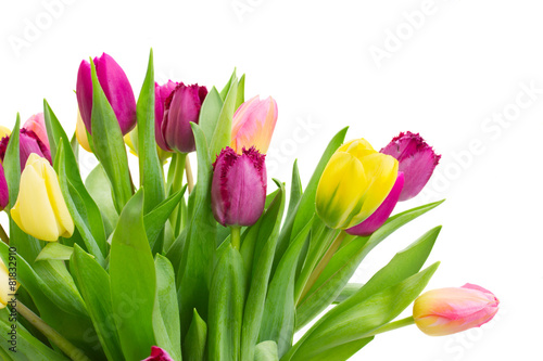 Fototapeta Naklejka Na Ścianę i Meble -  bouquet of  yellow and purple  tulip flowers