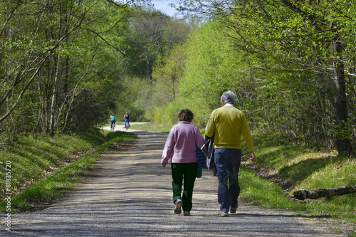 Couple de retraités en marche dans la forêt, département de Seine-et-Marne en région Île-de-France, France