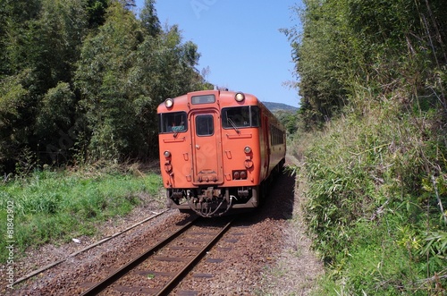 林を走る朱色の列車