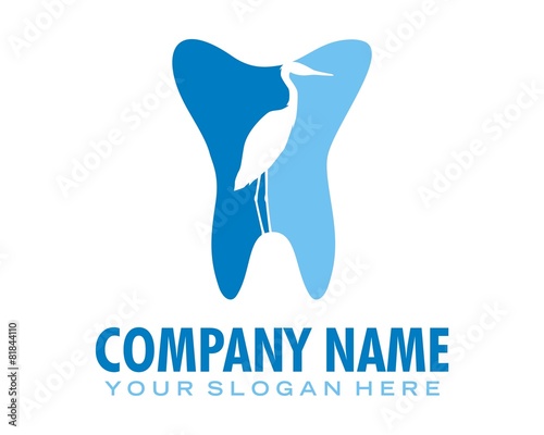 stork bird tooth logo image vector