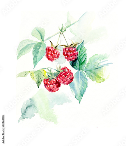 Branch raspberry. Forest miniatures.