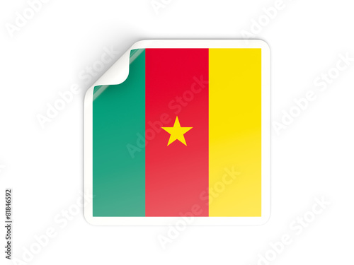 Square sticker with flag of cameroon