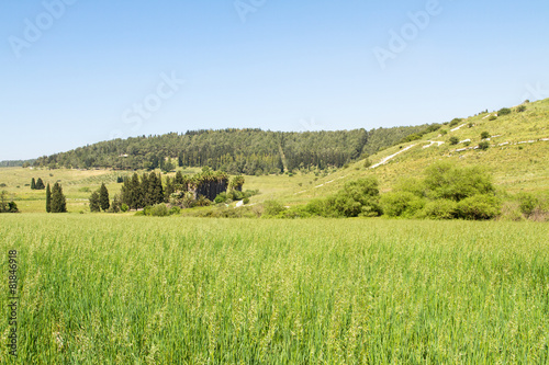 Beautiful landscape.