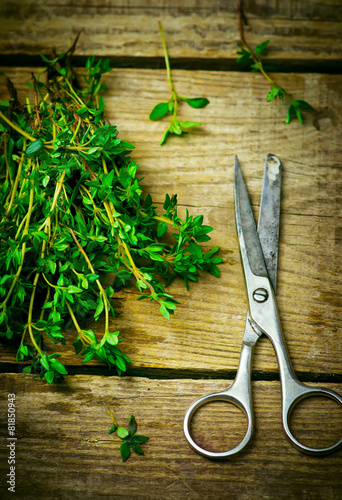 bunch of a fresh thyme