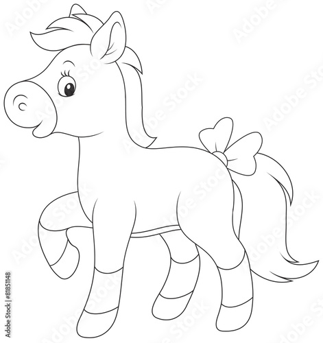 Pony