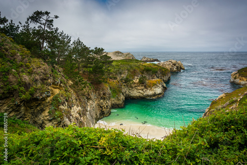 View of China Cove Beach, at Point Lobos State Natural Reserve,
