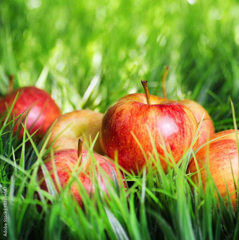 Juicy fresh red apples on green grass Juicy fresh red apples on green grass