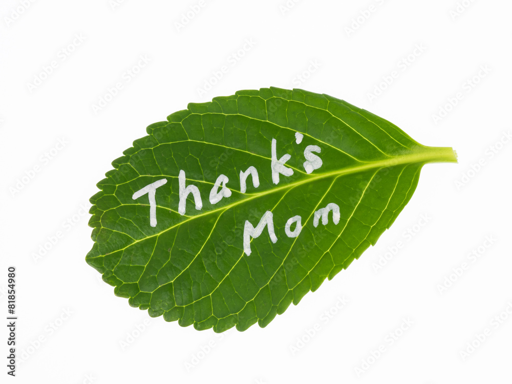 Obraz premium 母の日のメッセージ