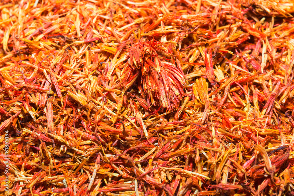 Fototapeta premium safflower