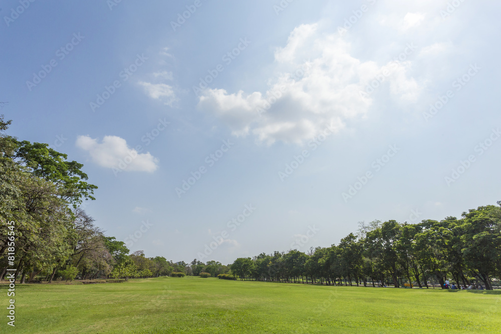 Green park and sky Green park and sky