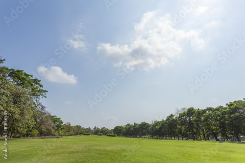 Green park and sky