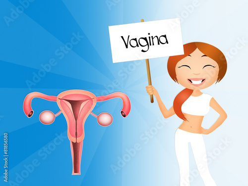 Vagina photo