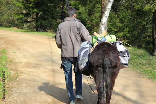 Eselwanderung: Wanderung mit einem Esel als Gepäckträger photo