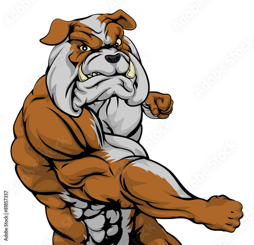 Mean bulldog mascot fighting