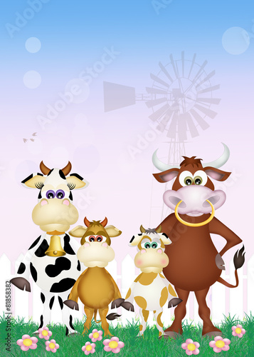 family cows