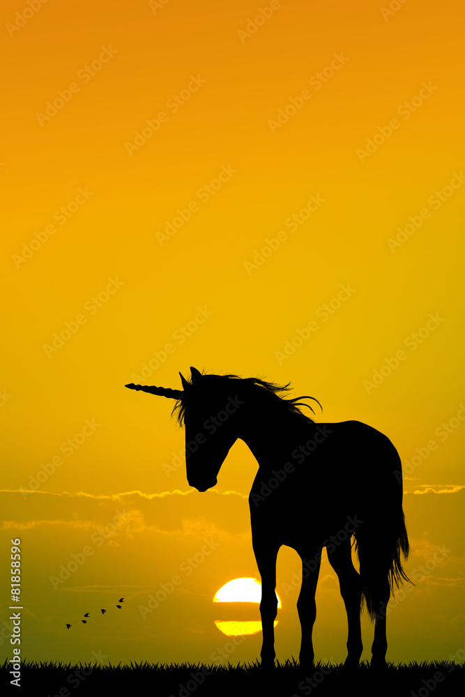 unicorn at sunset unicorn at sunset
