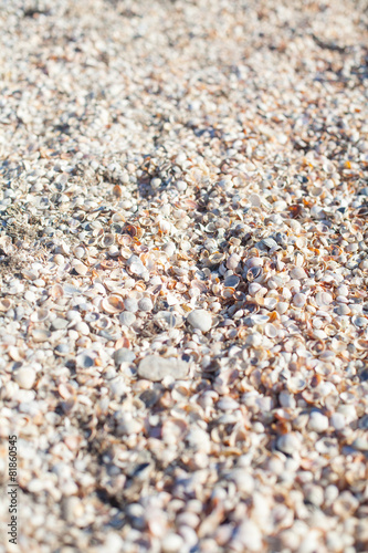 seaside of the Azov sea