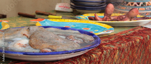 Wallpaper Mural Il banco del polpo Torontodigital.ca