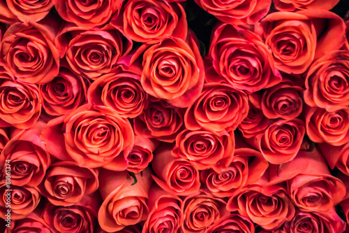 Fototapeta Naklejka Na Ścianę i Meble -  Red Rose Pattern