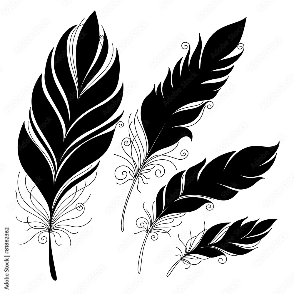 Obraz premium Vector Peerless Decorative Feather