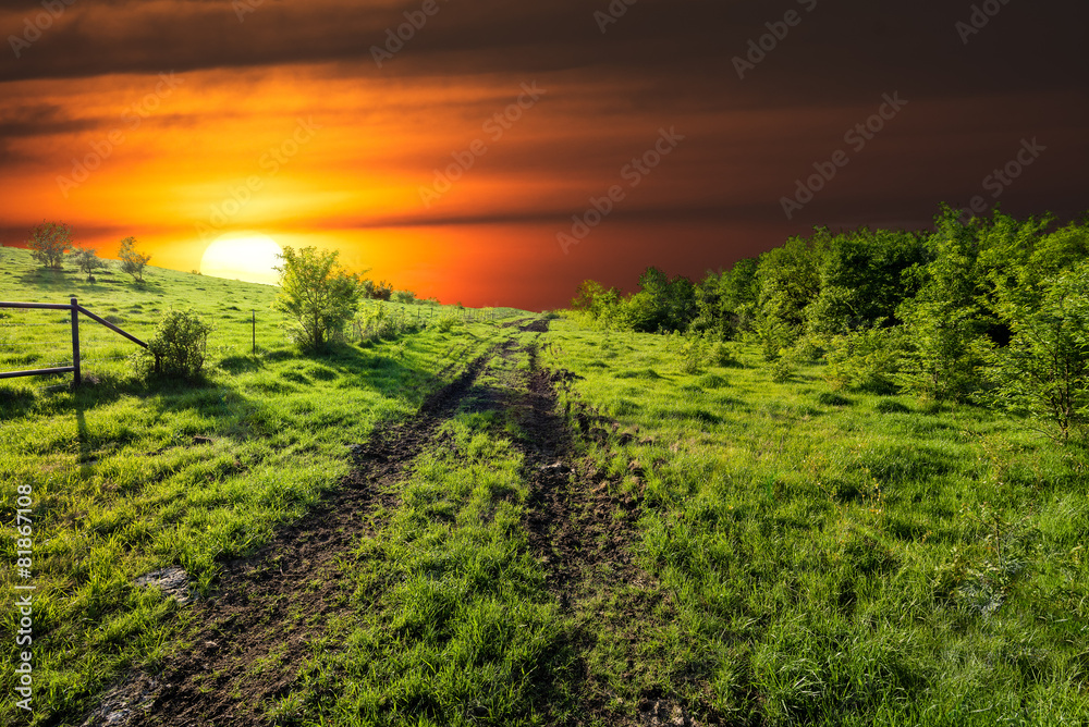 Naklejka premium Sunset on Sugar Ridge Road, Ennis, TX