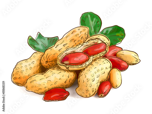 Peanuts