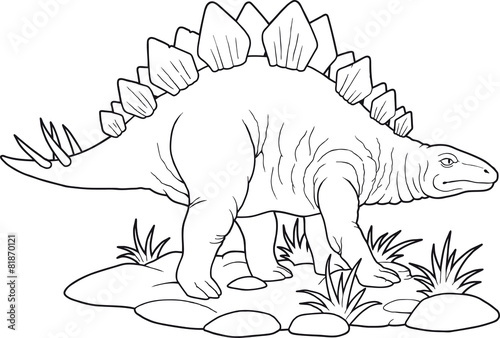 Stegosaurus