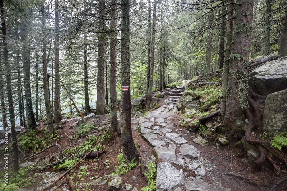 Mountain trail in Tatry, Poland. Mountain trail in Tatry, Poland.