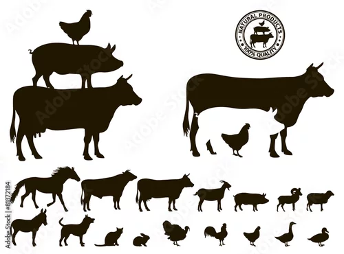 Fototapeta wektor sylwetki zwierząt gospodarskich na białym tle