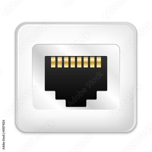 Vector Network Socket Icon