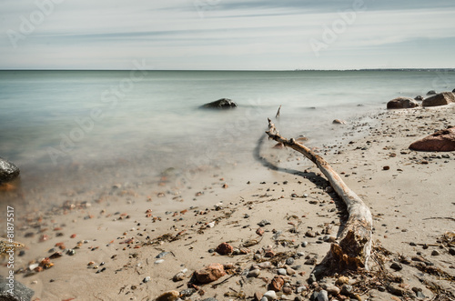 Stara gałąź na plaży © Filip Olejowski