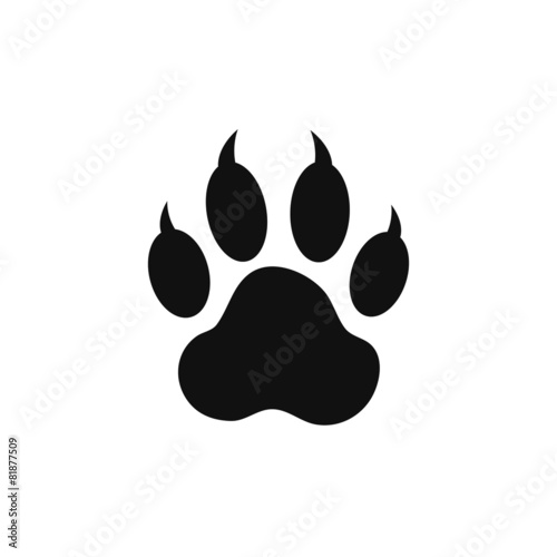 Obraz na płótnie paw print w salonie
