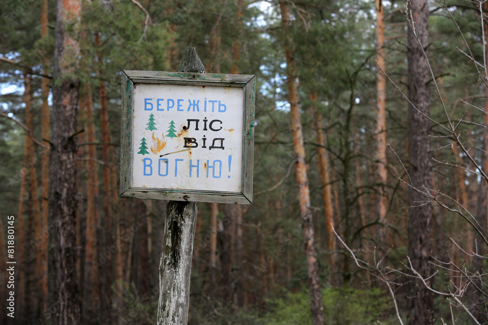 Obraz premium information board in forest