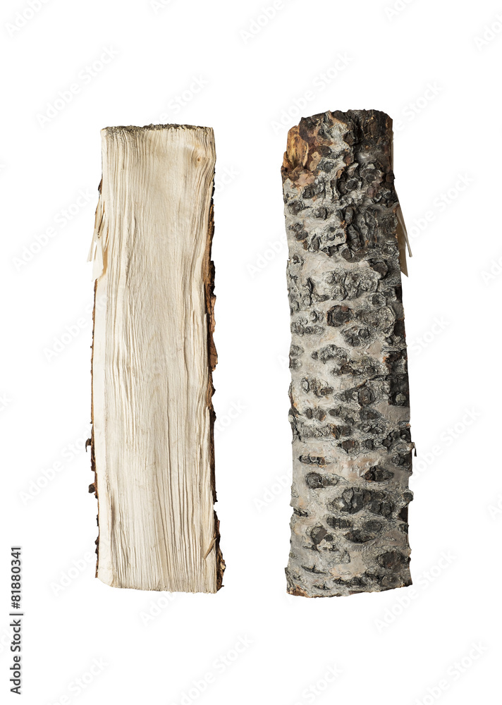Firewood isolated Firewood isolated